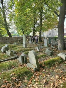 Zadbali o cmentarz żydowski