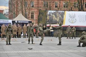 Związek Strzelecki na uroczystościach wojskowych we Wrocławiu  