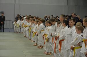 Międzynarodowy Memoriał Judo im. Edwarda Brzegowego  