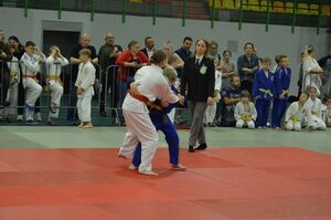 Międzynarodowy Memoriał Judo im. Edwarda Brzegowego  