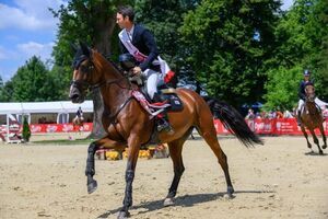 Triumf Francji w Pucharze Narodów, Polacy na podium