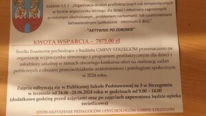 Aktywnie po zdrowie na półkolonii w PSP nr 3 w Strzegomiu