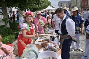 Niedziela zwieńczyła wspaniały strzegomski festiwal