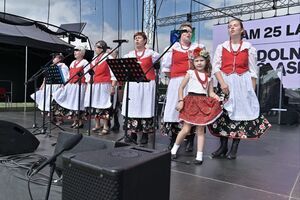 Niedziela zwieńczyła wspaniały strzegomski festiwal