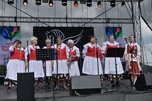 Niedziela zwieńczyła wspaniały strzegomski festiwal