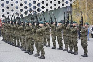 Narodowe Święto Niepodległości w Strzegomiu  