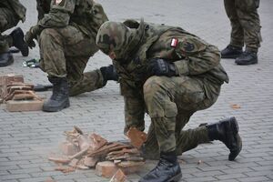 Narodowe Święto Niepodległości w Strzegomiu  