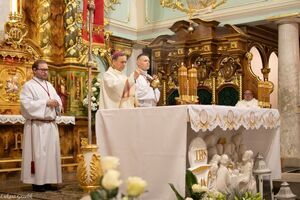 Strzegomskie obchody 3 Maja