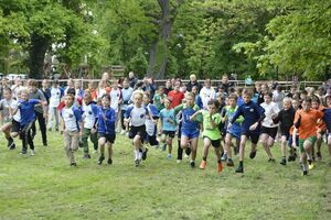 Kolejny już raz pobiegli w Rogoźnicy 