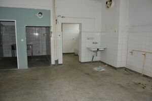 Modernizacja kuchni w strzegomskich szkołach i pomieszczeń w PSP Olszany