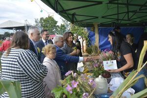 Święto Plonów w Olszanach za nami!