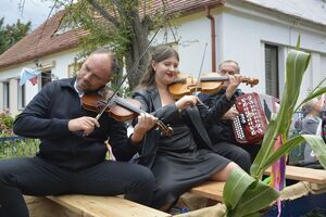 Święto Plonów w Olszanach za nami!