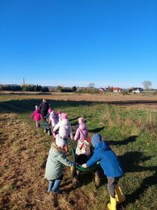 Wykopki w Zagrodzie Edukacyjnej „Ostoja nad Młynówką” w Mościsku
