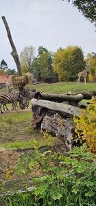 Uczniowie z Jaroszowa na wycieczce we Wrocławiu