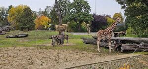 Uczniowie z Jaroszowa na wycieczce we Wrocławiu