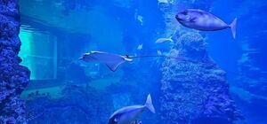 Uczniowie z Jaroszowa na wycieczce we Wrocławiu