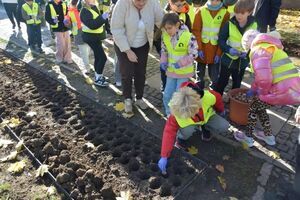 Pola Nadziei w Strzegomiu po raz drugi