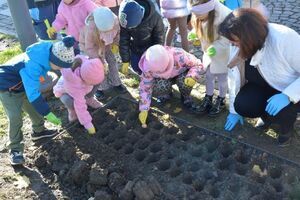 Pola Nadziei w Strzegomiu po raz drugi