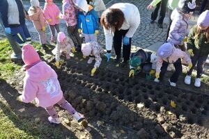 Pola Nadziei w Strzegomiu po raz drugi