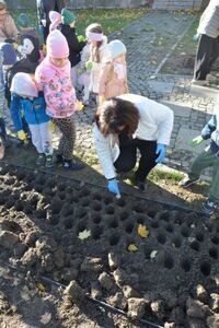 Pola Nadziei w Strzegomiu po raz drugi