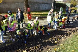 Pola Nadziei w Strzegomiu po raz drugi