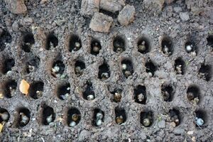 Pola Nadziei w Strzegomiu po raz drugi