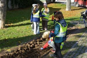 Pola Nadziei w Strzegomiu po raz drugi