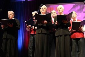 Święto Niepodległości w Strzegomiu 