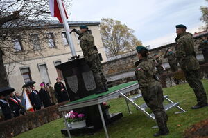 Święto Niepodległości w Strzegomiu 