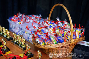 Przegląd Piosenki Patriotycznej Galeria Zdjęć