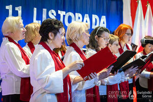 Galeria zdjęć z Narodowego Święta Niepodległości 11.11.2025