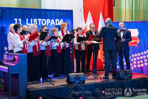 Galeria zdjęć z Narodowego Święta Niepodległości 11.11.2025