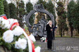 Galeria zdjęć z Narodowego Święta Niepodległości 11.11.2025