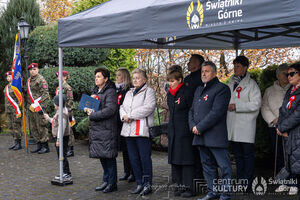 Galeria zdjęć z Narodowego Święta Niepodległości 11.11.2025