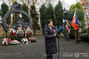 Galeria zdjęć z Narodowego Święta Niepodległości 11.11.2025