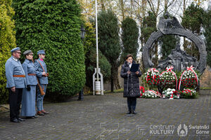Galeria zdjęć z Narodowego Święta Niepodległości 11.11.2025