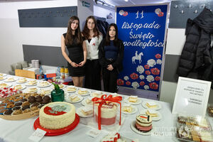 Galeria zdjęć z Narodowego Święta Niepodległości 11.11.2025