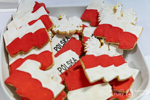 Galeria zdjęć z Narodowego Święta Niepodległości 11.11.2025