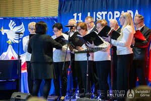 Galeria zdjęć z Narodowego Święta Niepodległości 11.11.2025