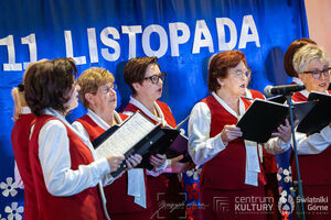 Galeria zdjęć z Narodowego Święta Niepodległości 11.11.2025