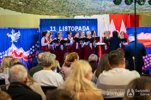 Galeria zdjęć z Narodowego Święta Niepodległości 11.11.2025