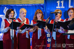 Galeria zdjęć z Narodowego Święta Niepodległości 11.11.2025