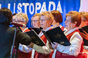 Galeria zdjęć z Narodowego Święta Niepodległości 11.11.2025