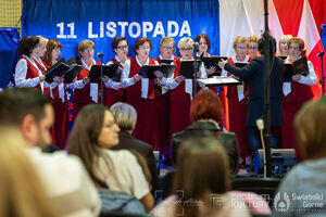 Galeria zdjęć z Narodowego Święta Niepodległości 11.11.2025