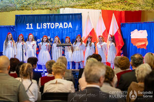 Galeria zdjęć z Narodowego Święta Niepodległości 11.11.2025