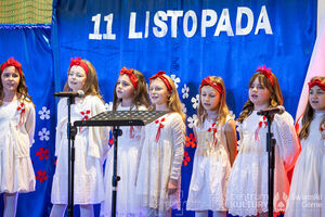 Galeria zdjęć z Narodowego Święta Niepodległości 11.11.2025