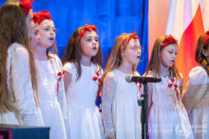 Galeria zdjęć z Narodowego Święta Niepodległości 11.11.2025