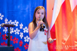 Galeria zdjęć z Narodowego Święta Niepodległości 11.11.2025