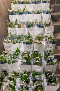 Spotkajmy się przy kawie