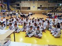 Mistrzostwa Dolnego Śląska Taekwondo